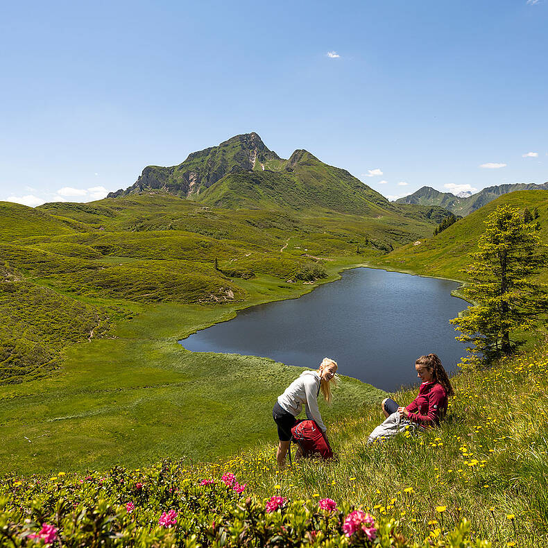 Wandern am Zollnersee im Gailtal_Bergfrühling