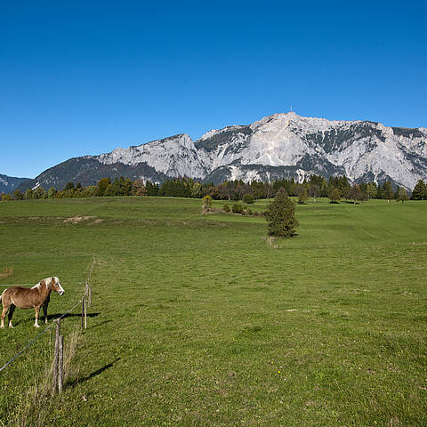 Naturpark Dobratsch